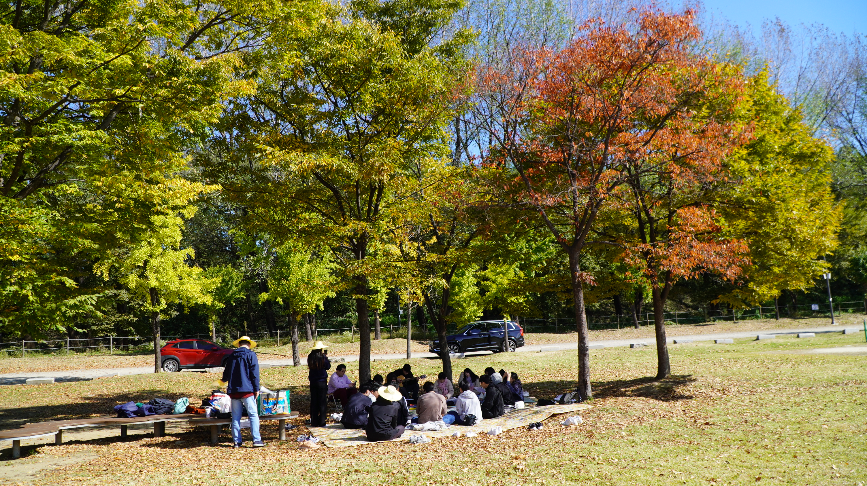 DSC08126.JPG