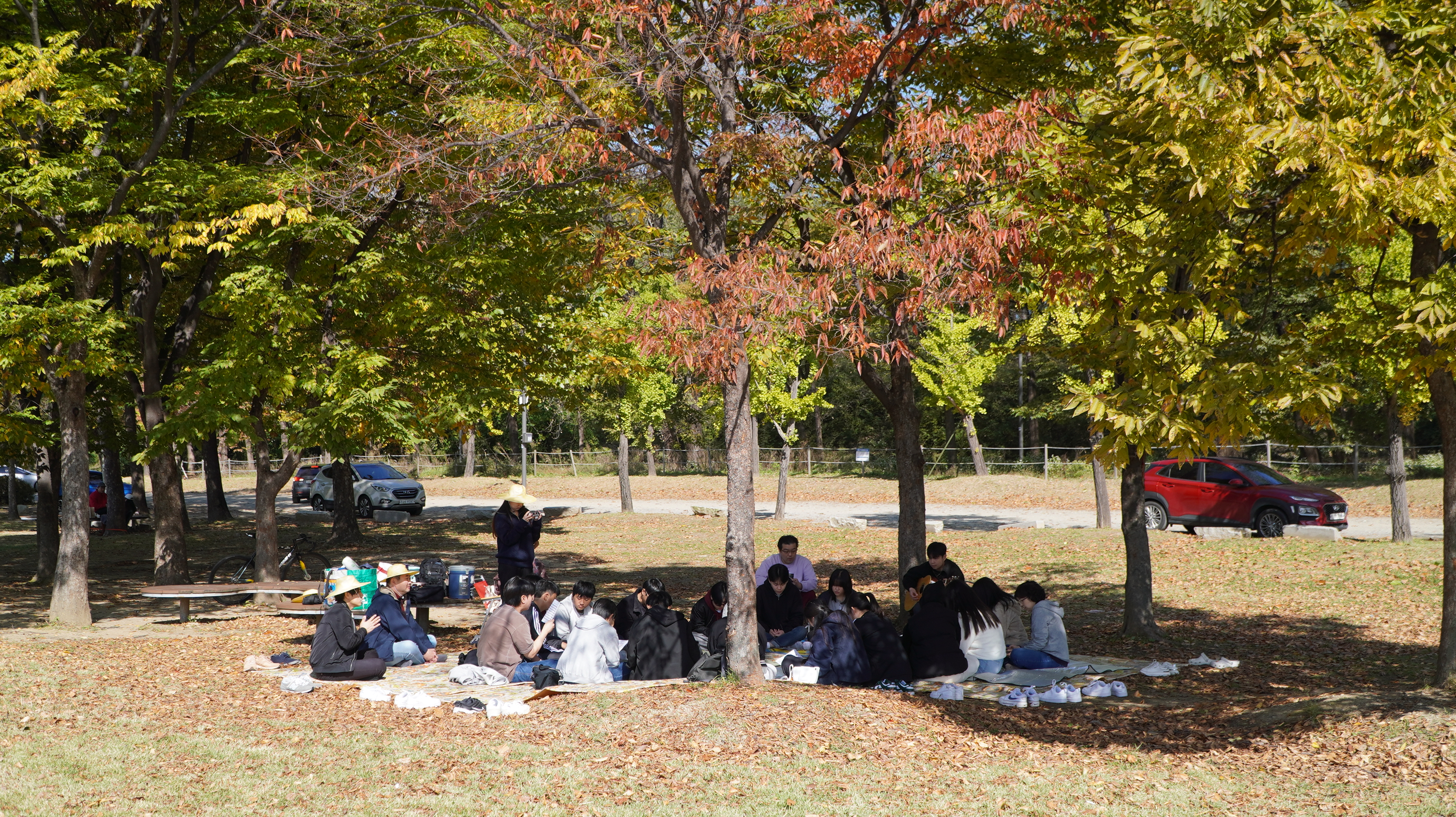 DSC08145.JPG