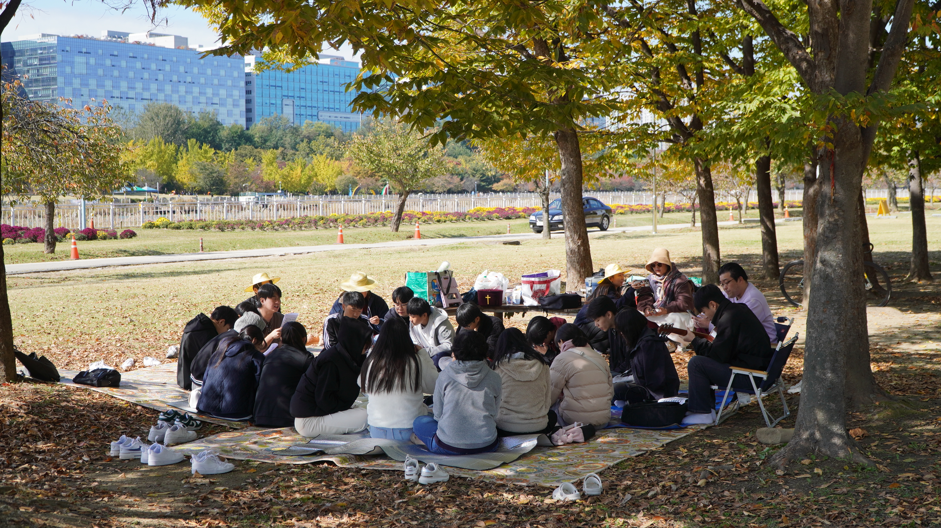 DSC08177.JPG