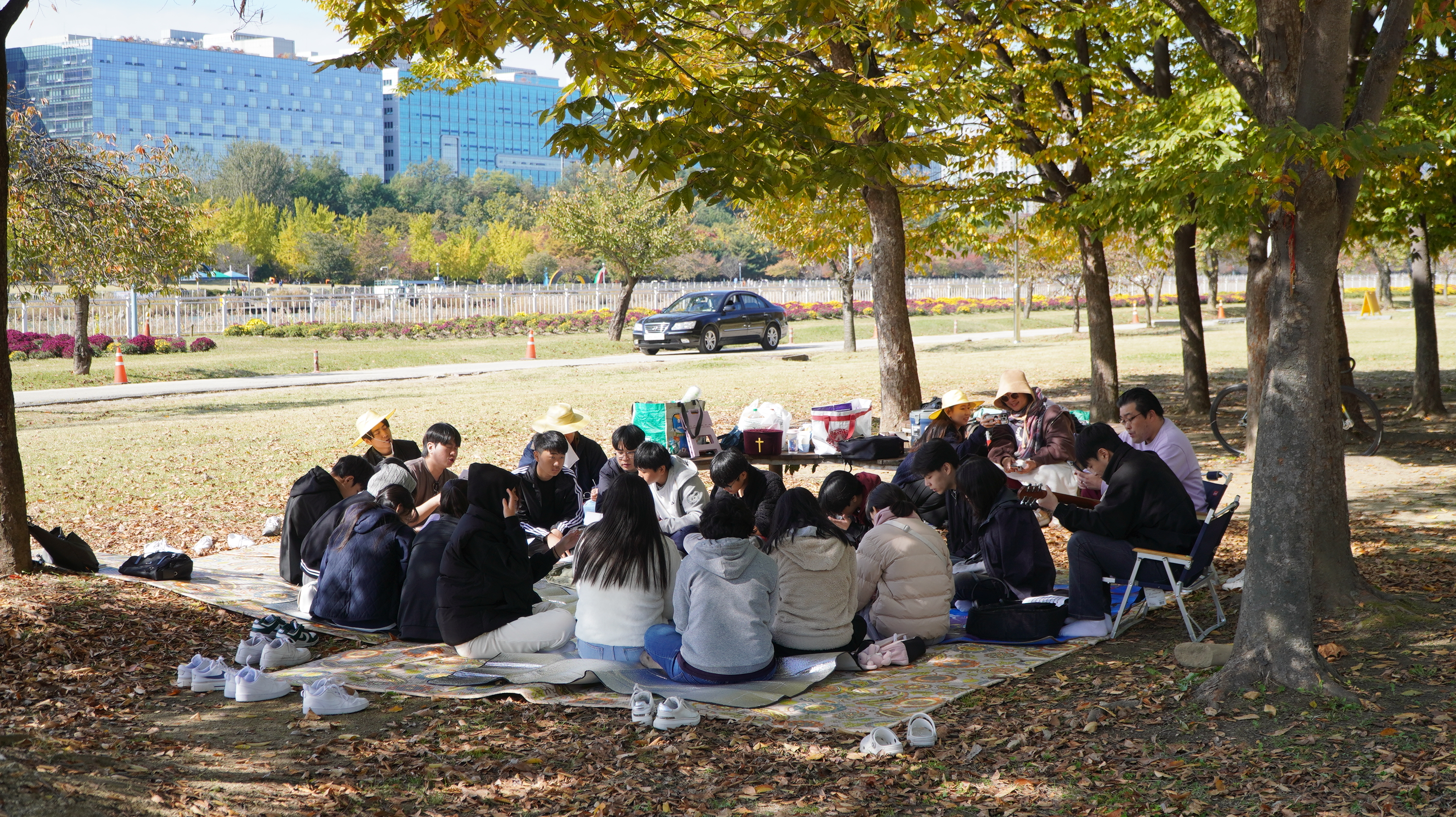 DSC08181.JPG