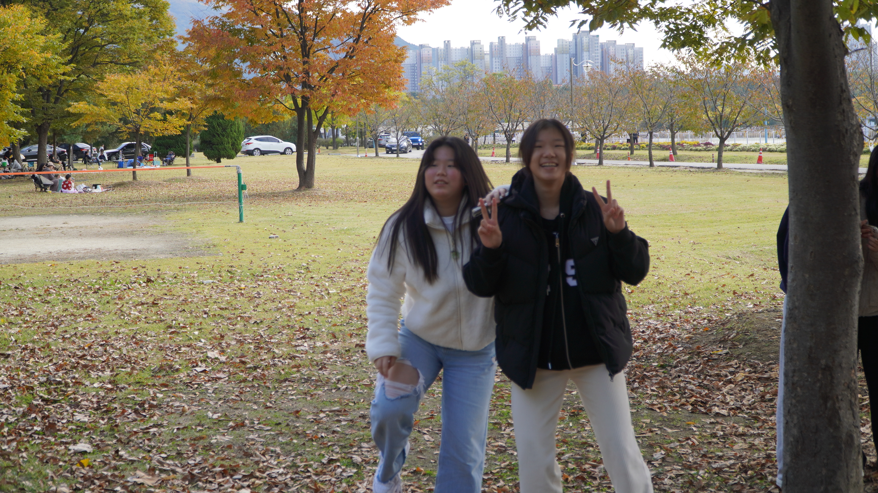 DSC08606.JPG