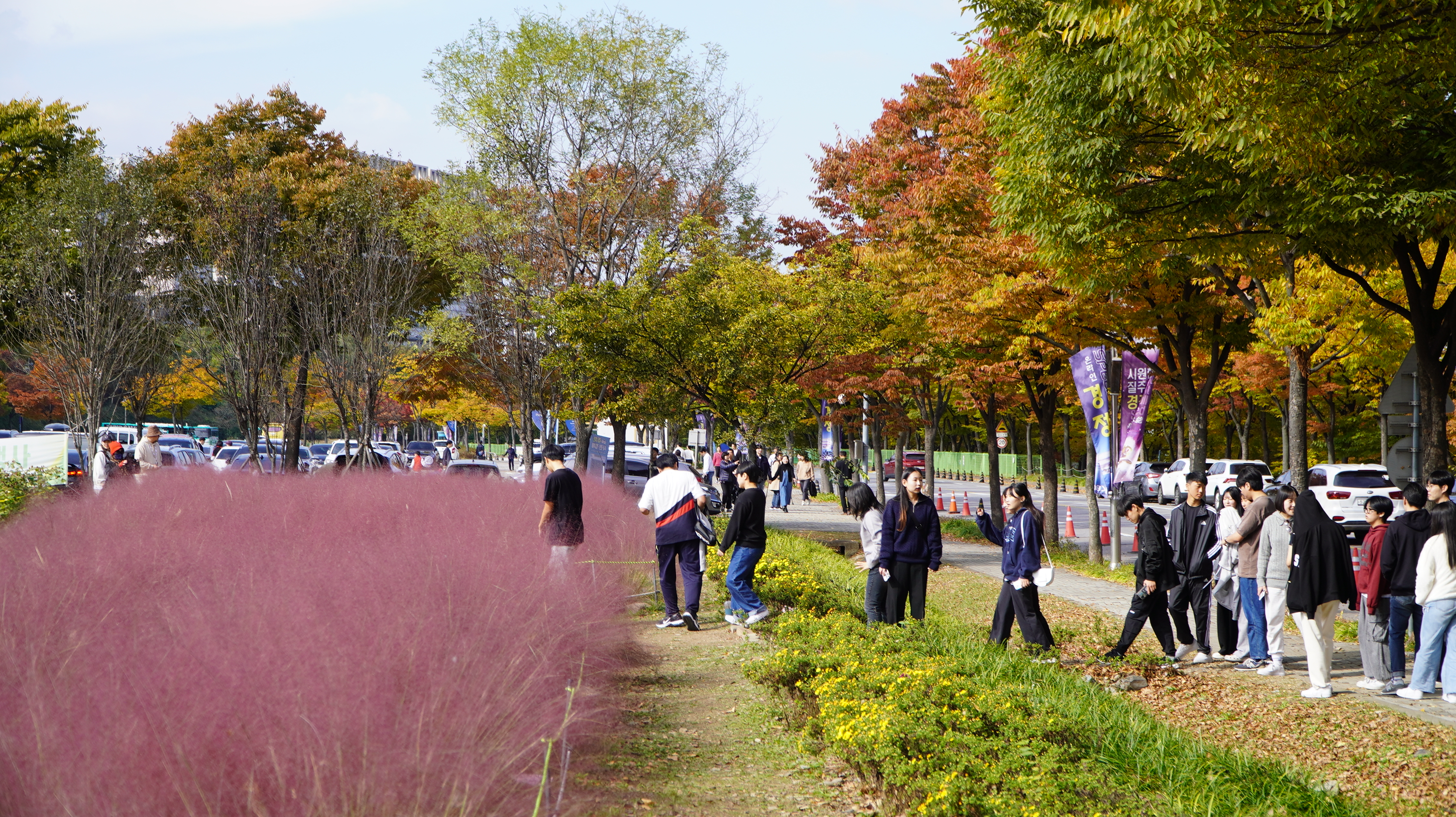 DSC08795.JPG