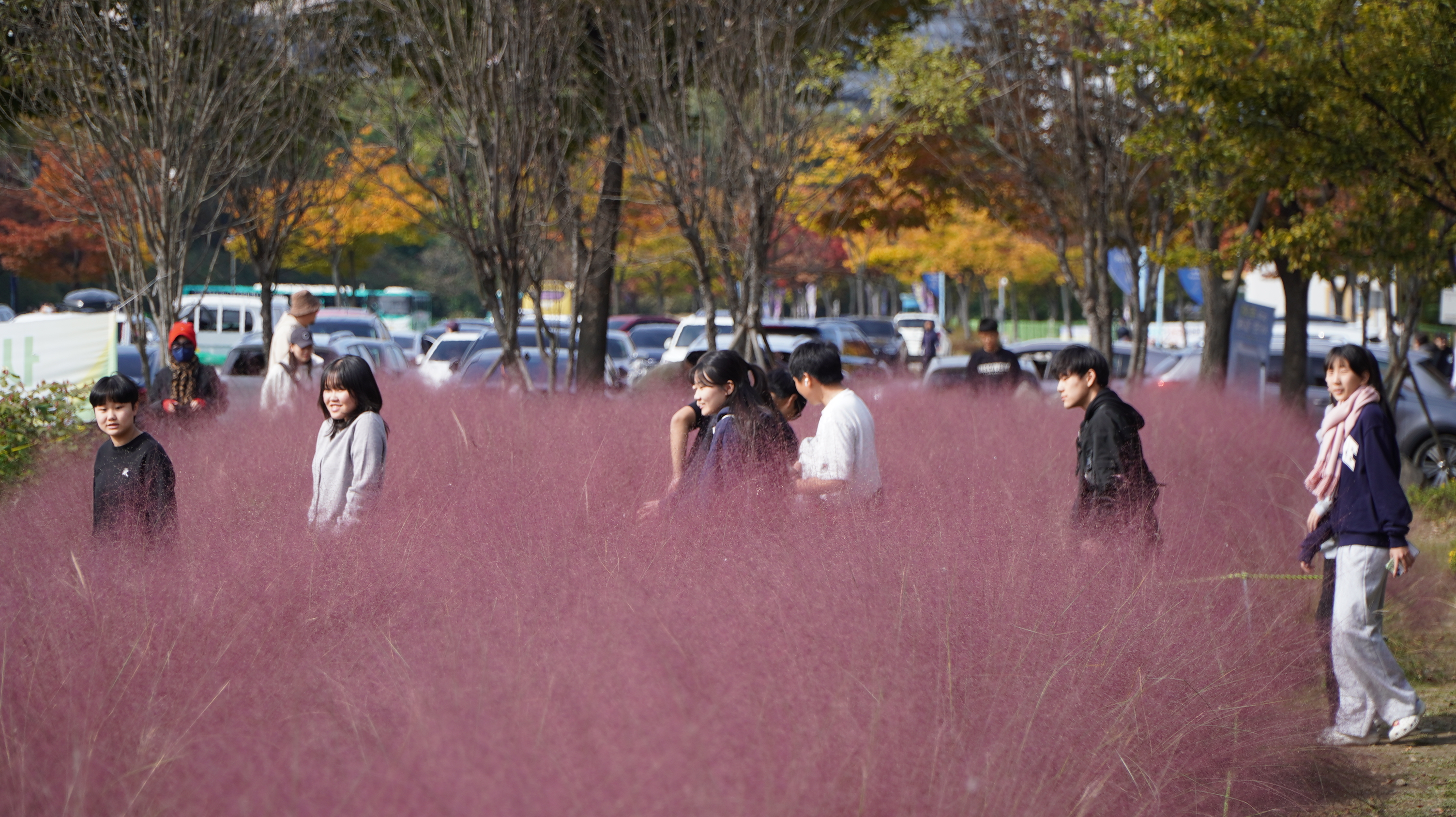 DSC08811.JPG