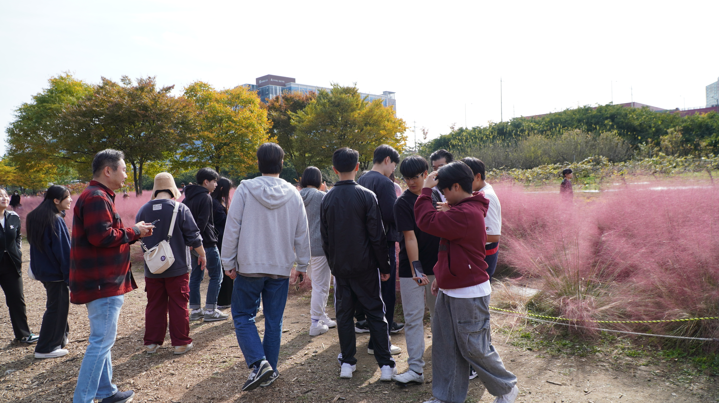 DSC08865.JPG