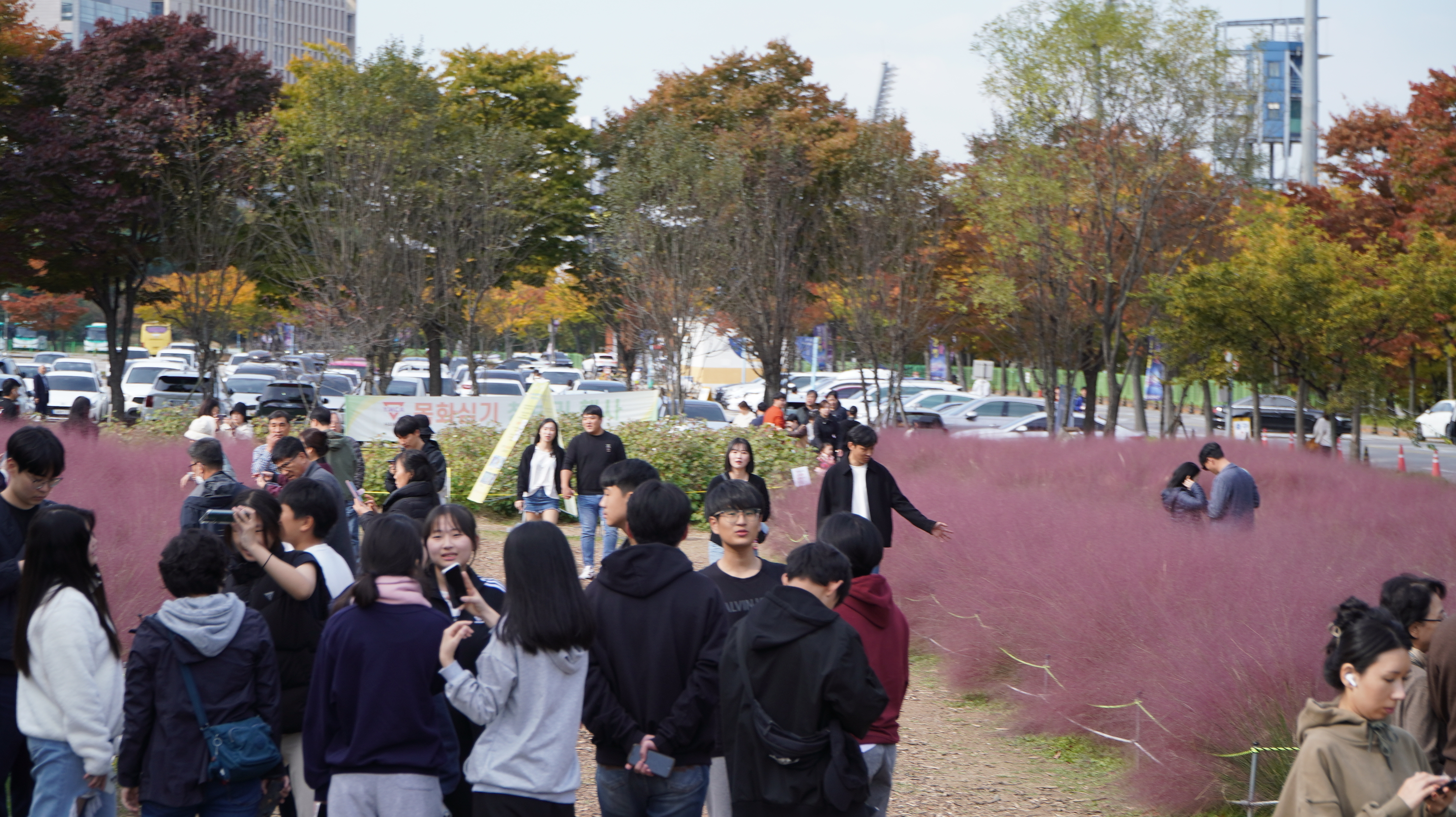 DSC09165.JPG