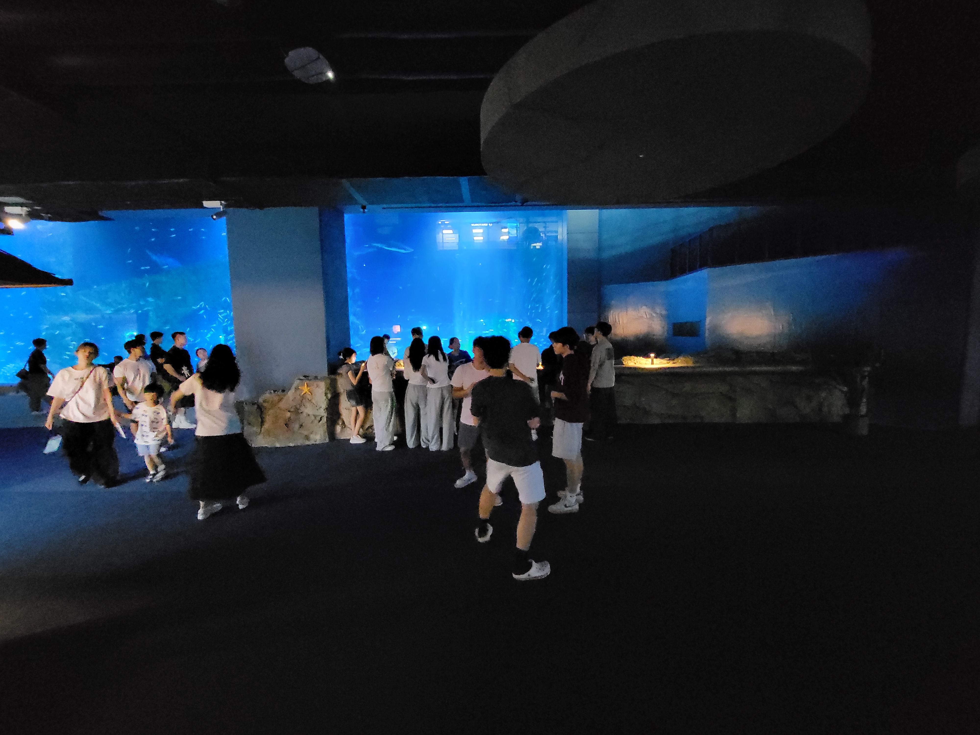 20250801_195219.jpg