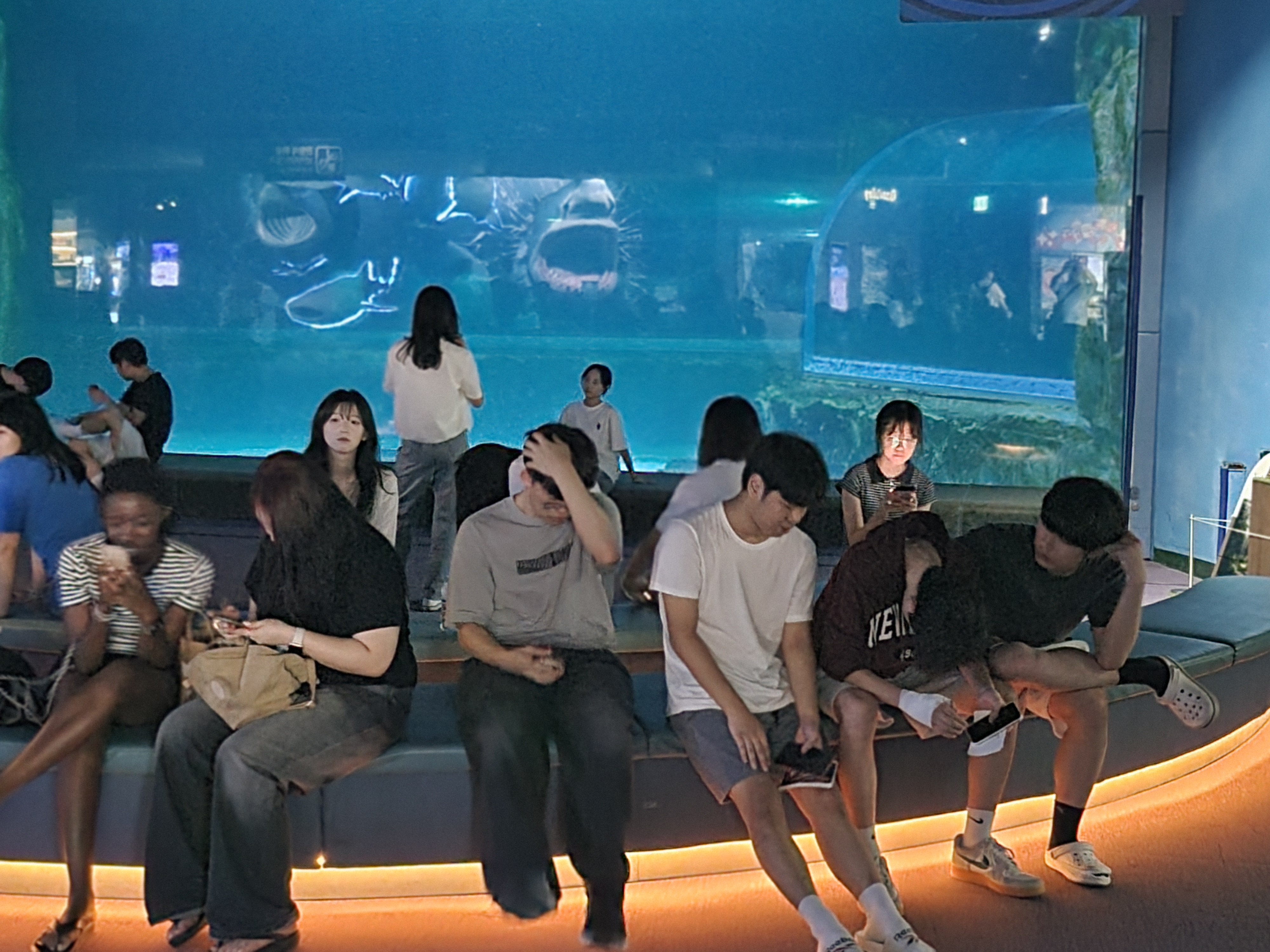 20250801_201454.jpg