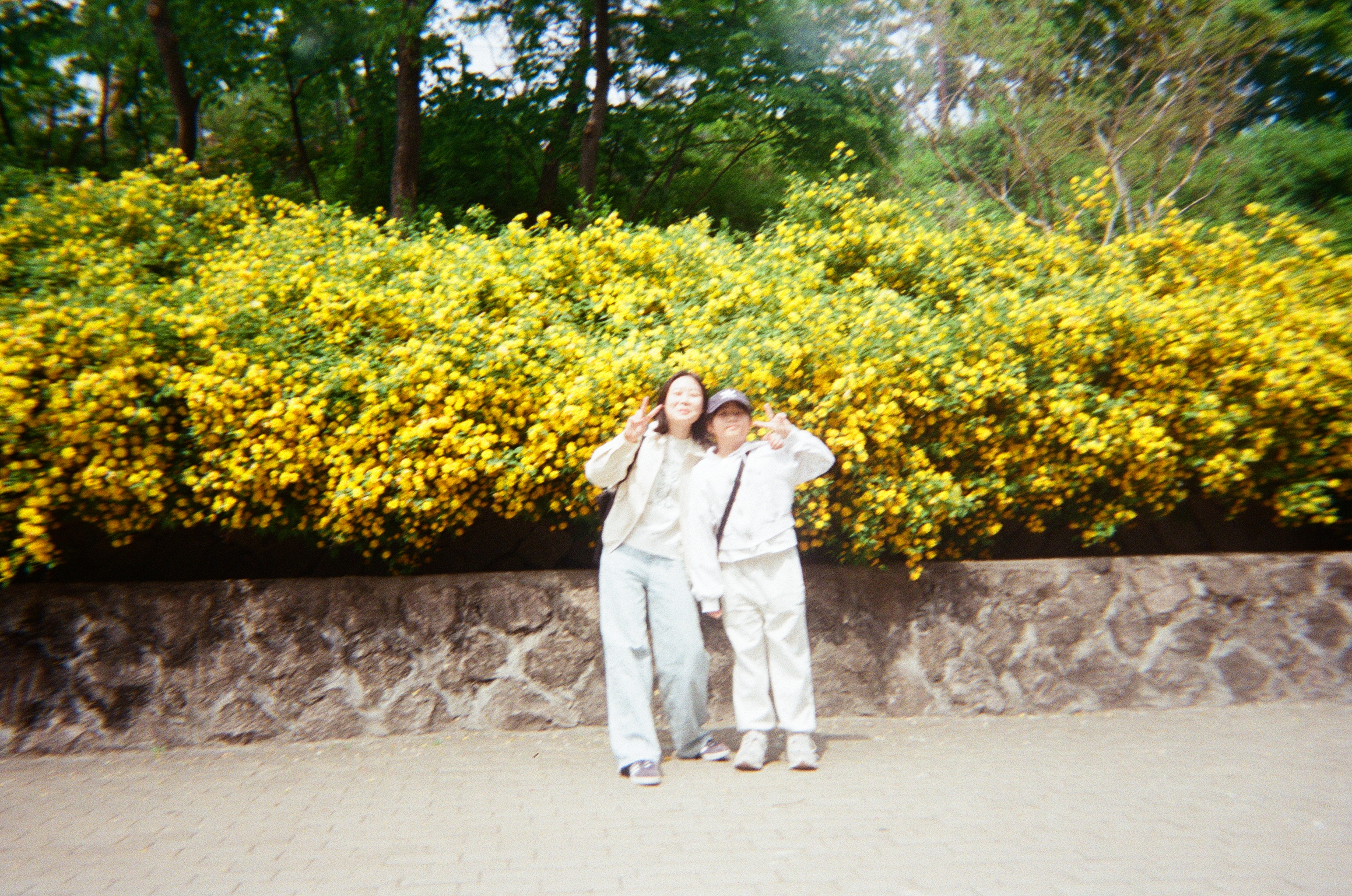 20250427_040148 (1).jpg