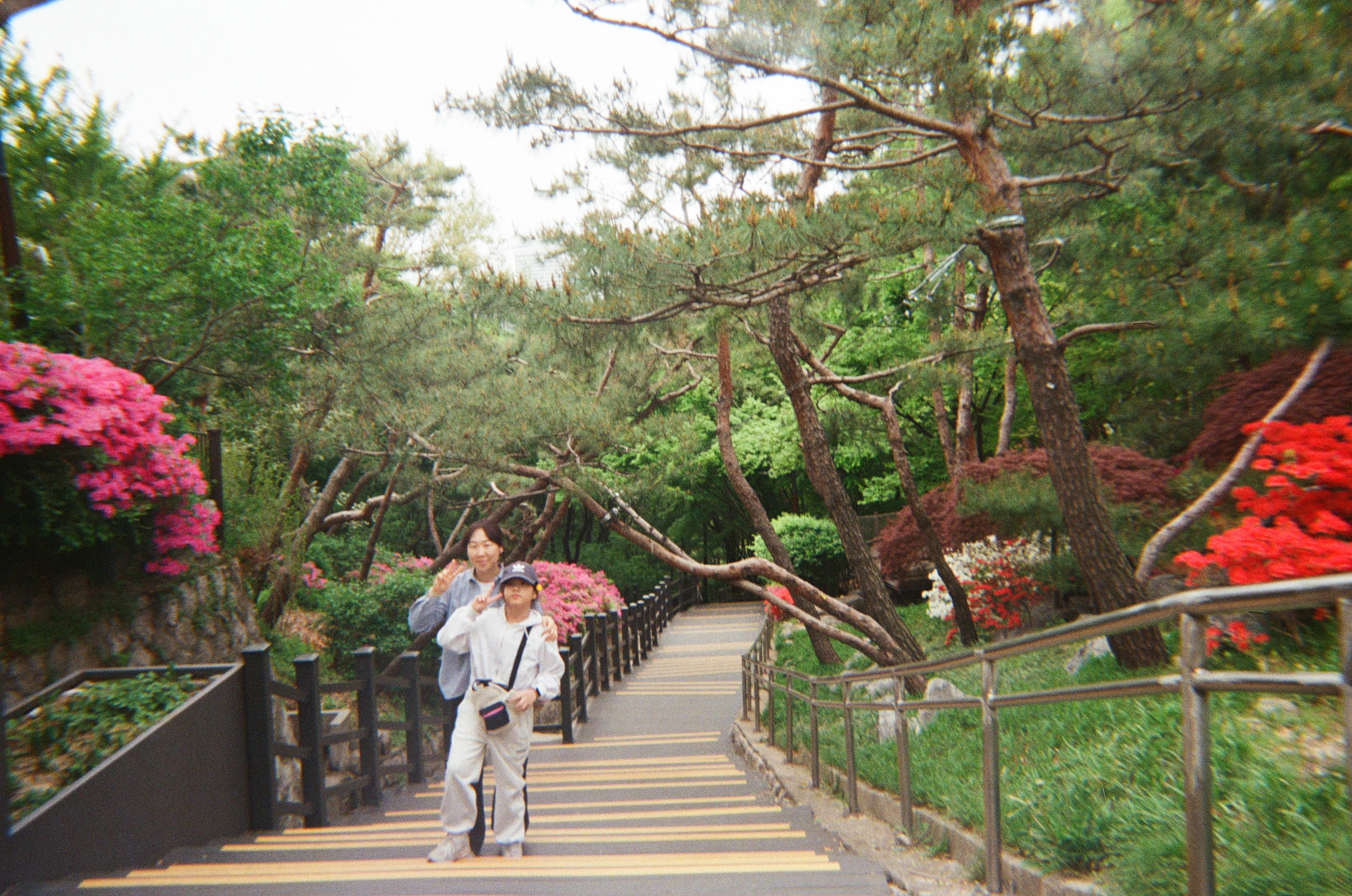 20250427_040148 (4).jpg