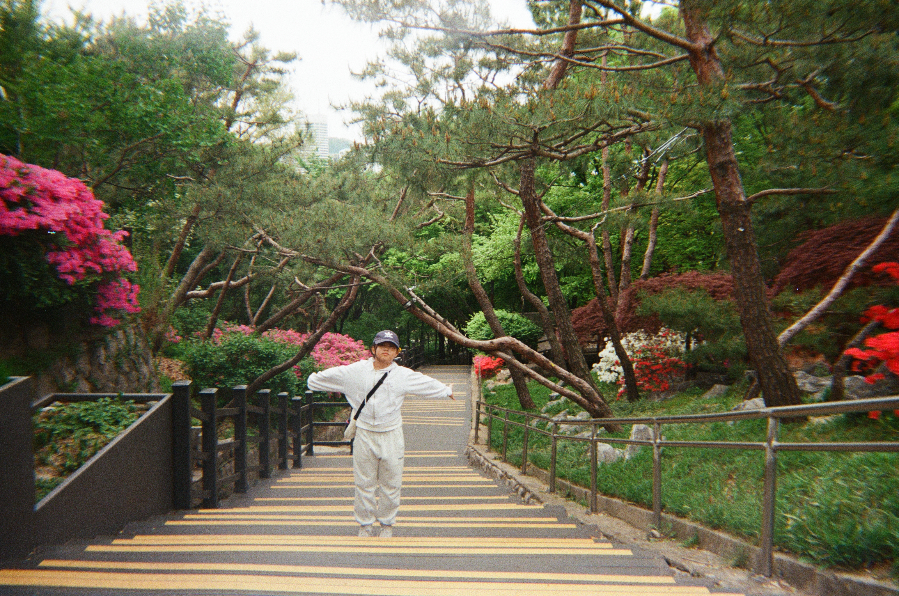 20250427_040148 (5).jpg