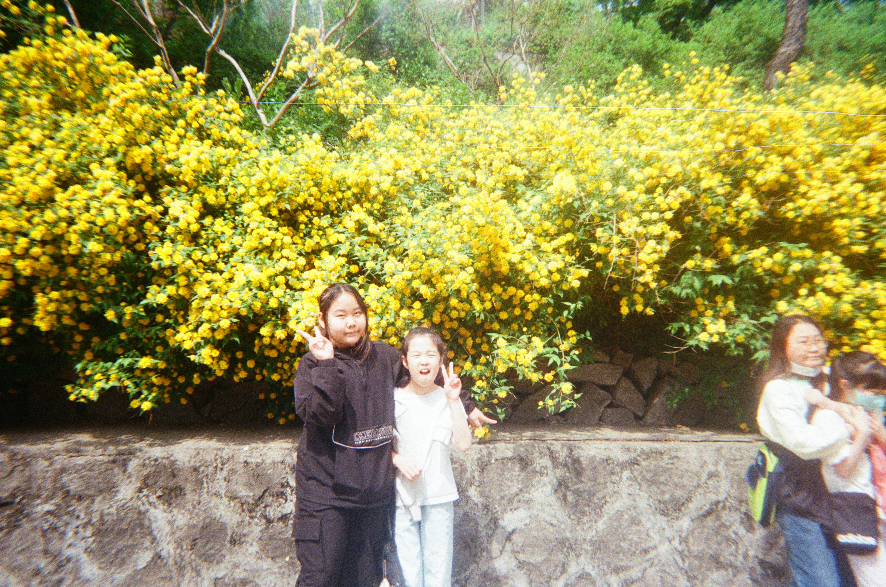 20250427_040221 (6).jpg