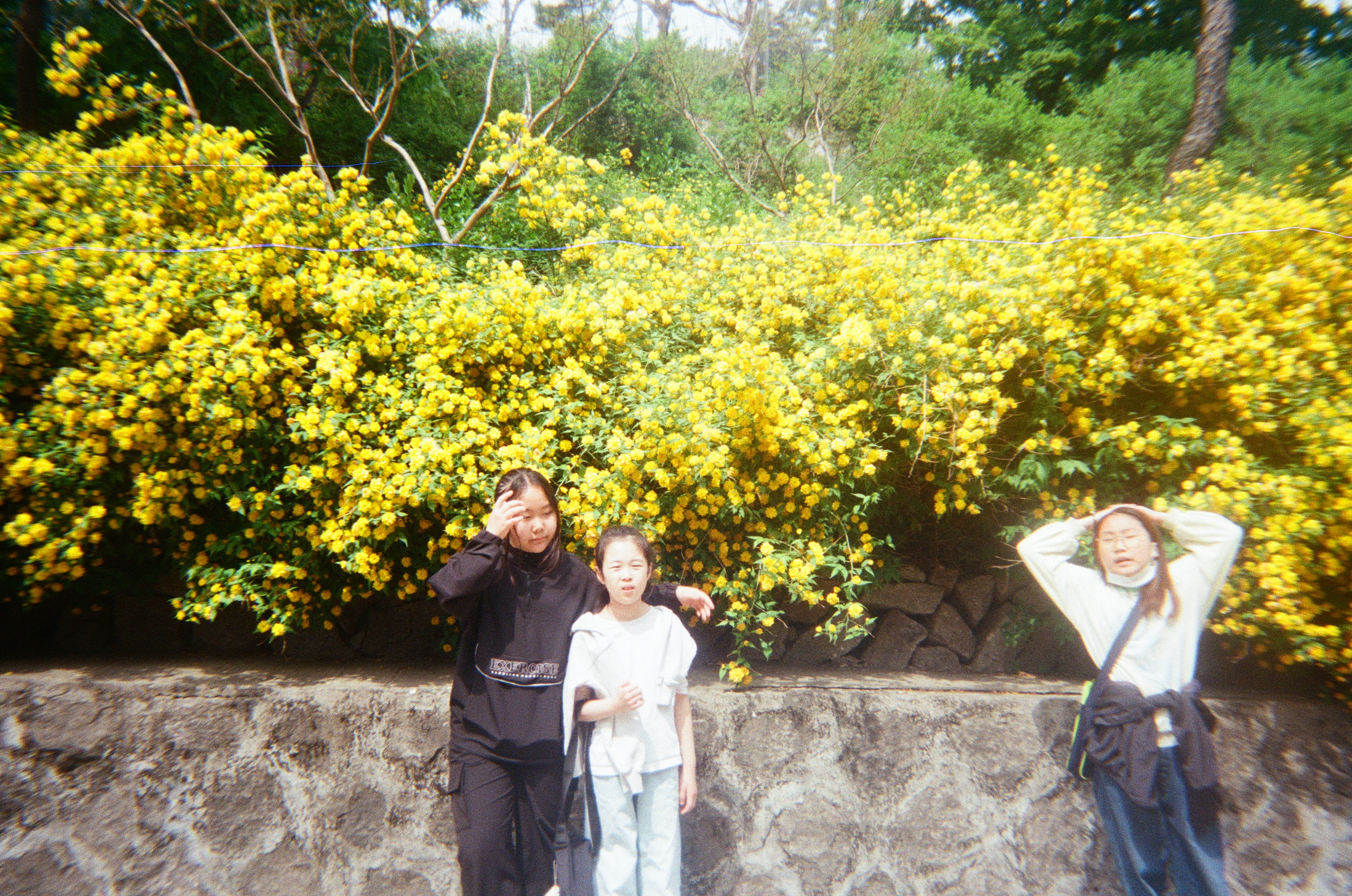 20250427_040221 (7).jpg