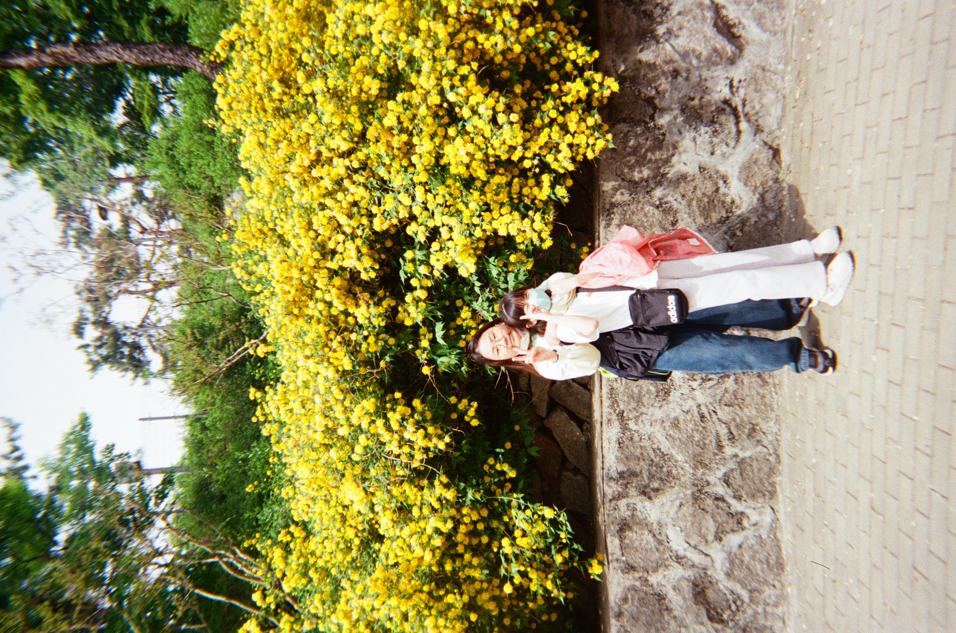 20250427_040307 (1).jpg