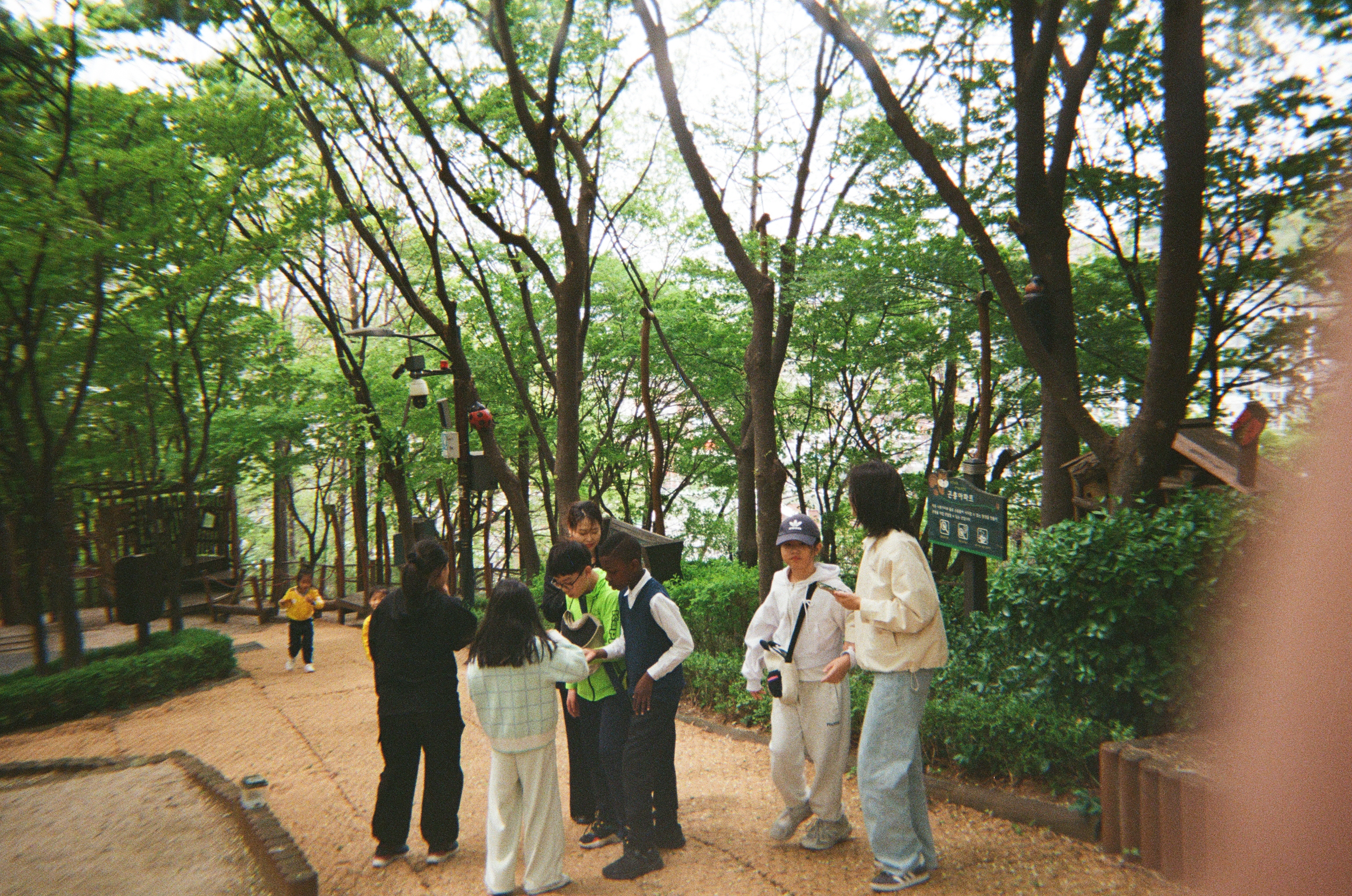 20250427_040307 (6).jpg