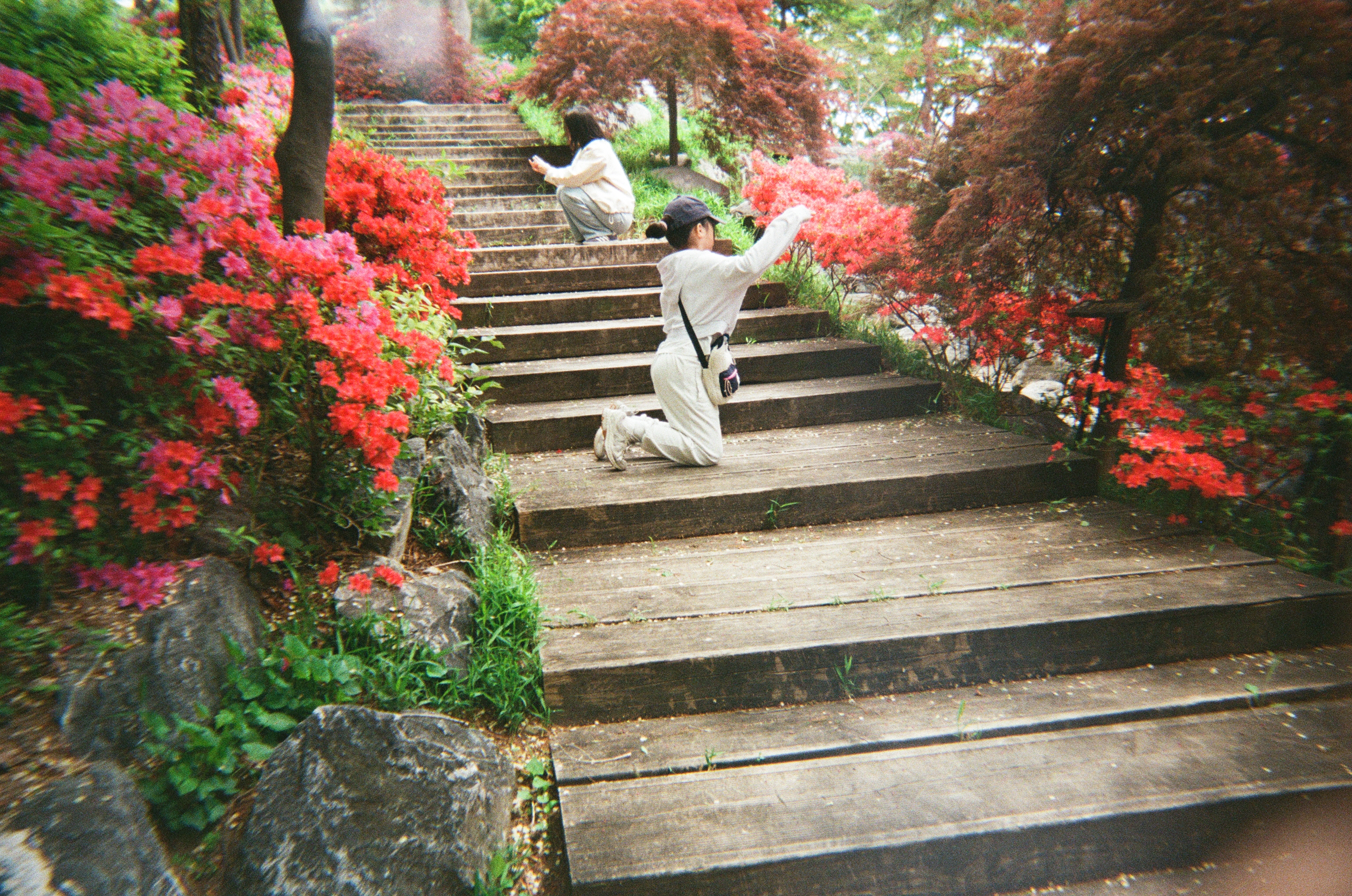 20250427_040307 (7).jpg