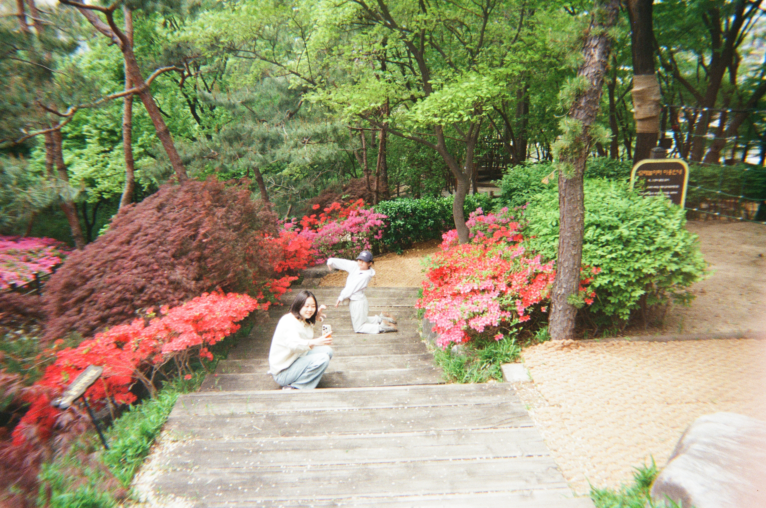 20250427_040307 (8).jpg