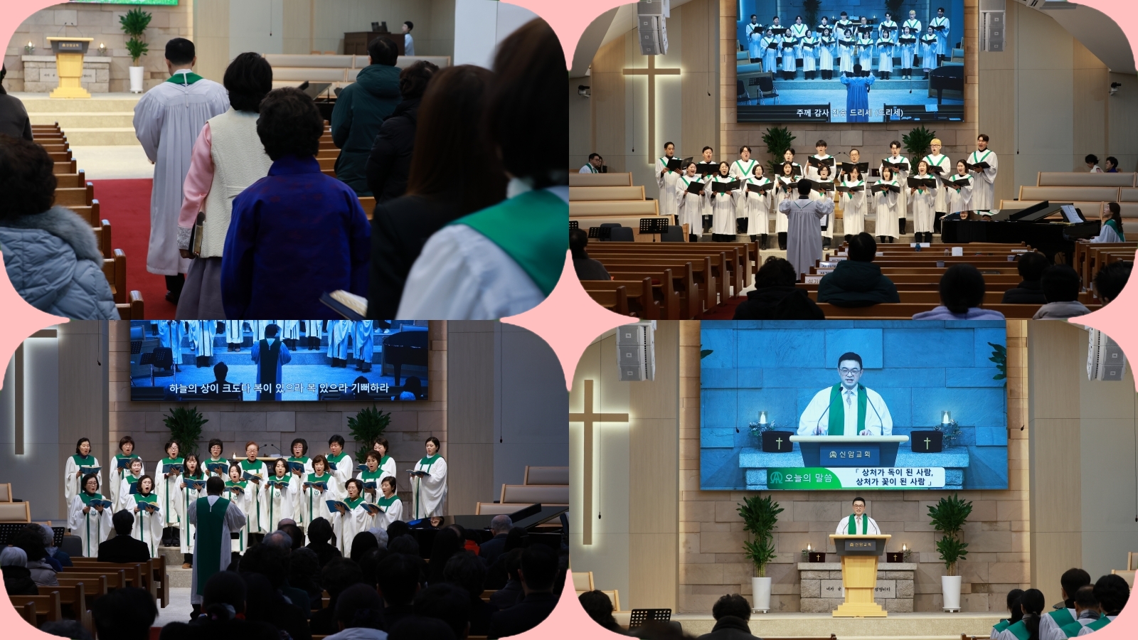 collage-1.jpg