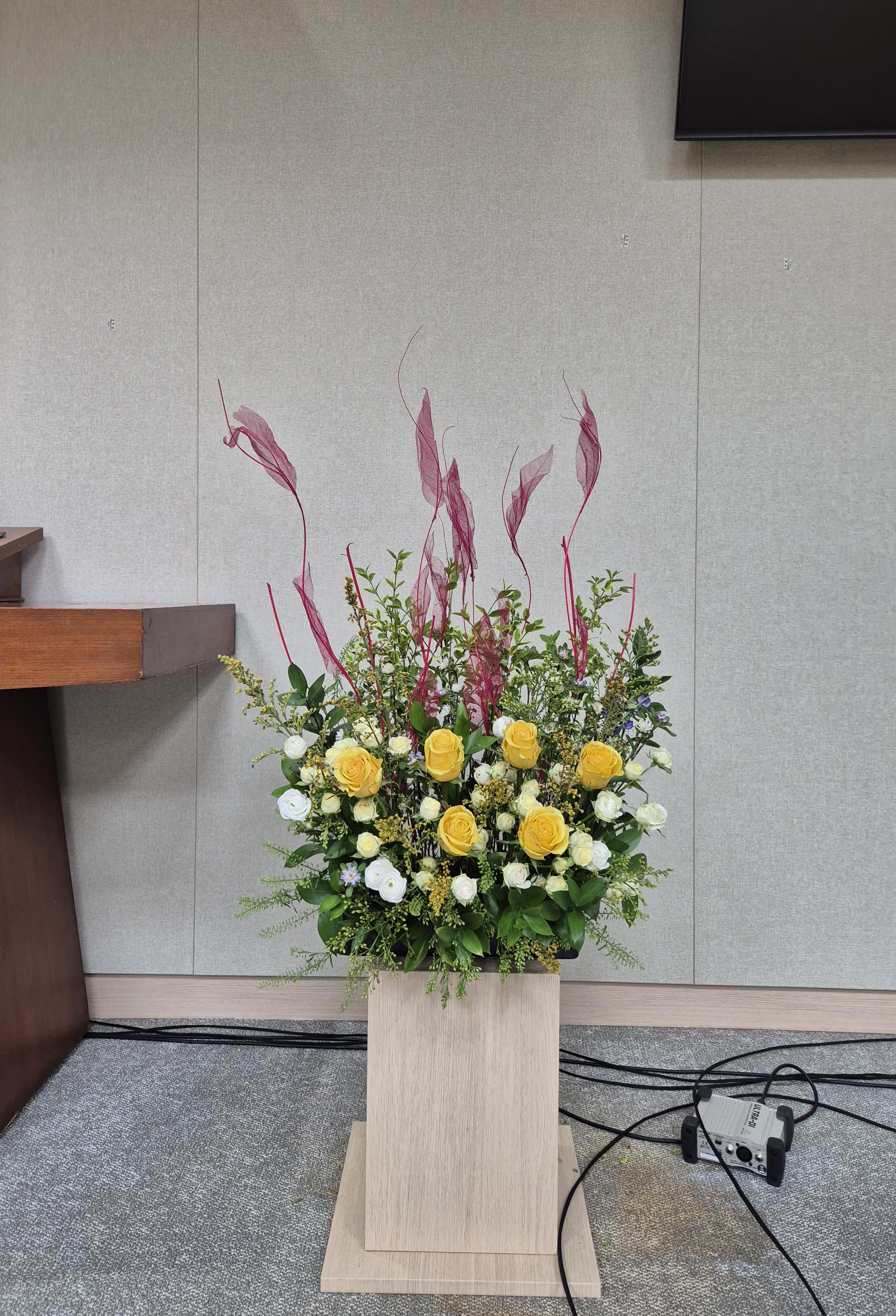 IMG_0918.jpeg